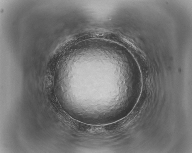 X0000086791447200704131228
