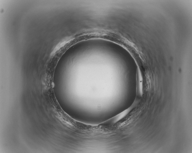 X0000086791448200704131228