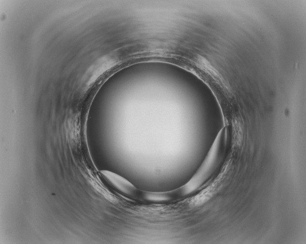 X0000086791450200704131228