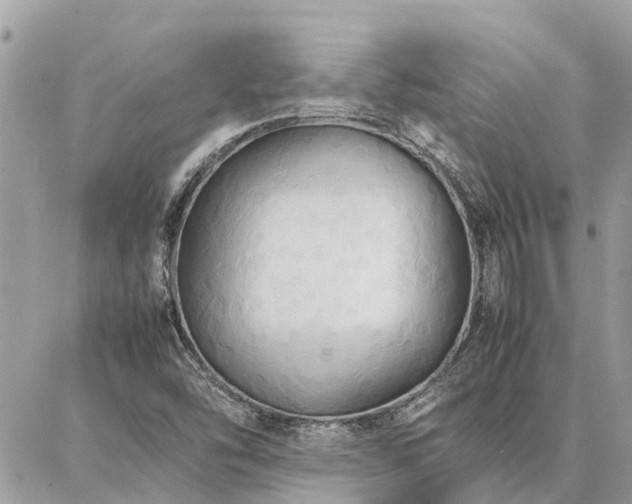 X0000086791454200704131228