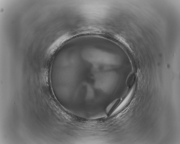 X0000086791455200704131228