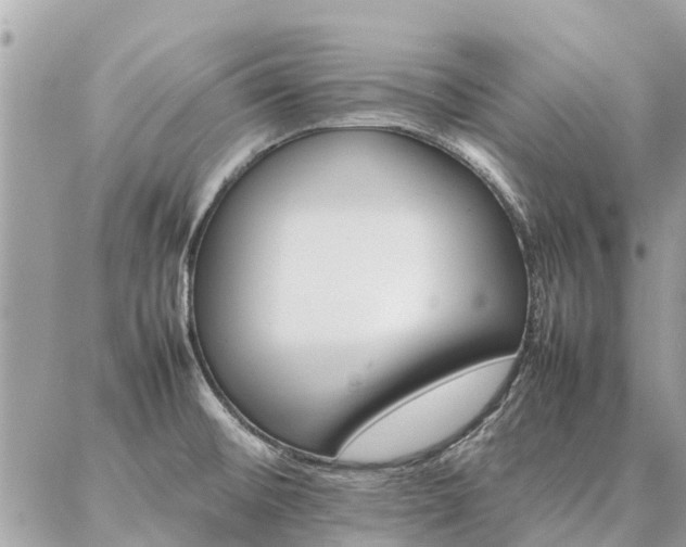 X0000086791476200704131227