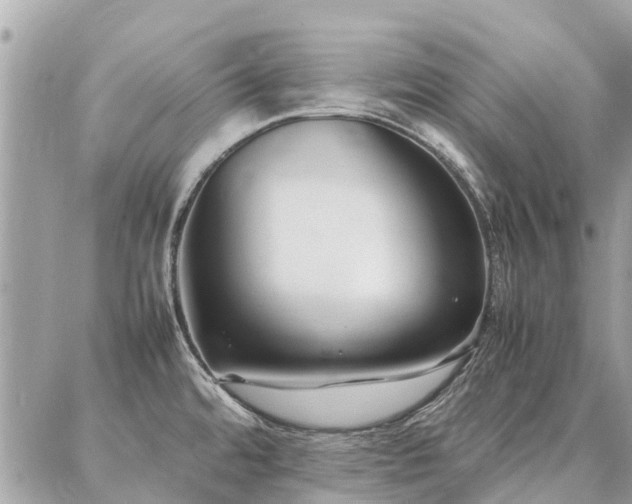 X0000086791480200704131227