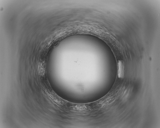 X0000086791491200704131226