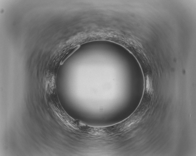 X0000086791492200704131226