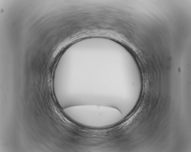X0000086791498200704131226
