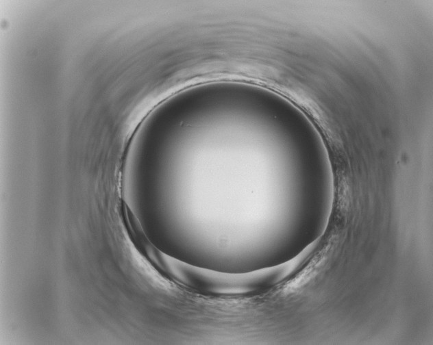 X0000086791524200704131227