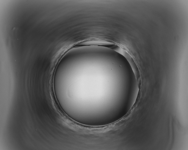 X0000086790001200704201853