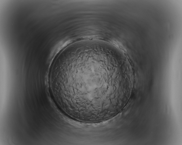 X0000086790002200704201853