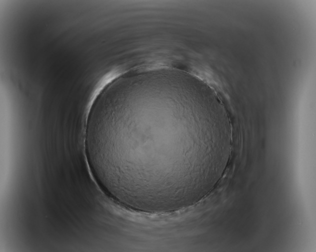 X0000086790003200704201853