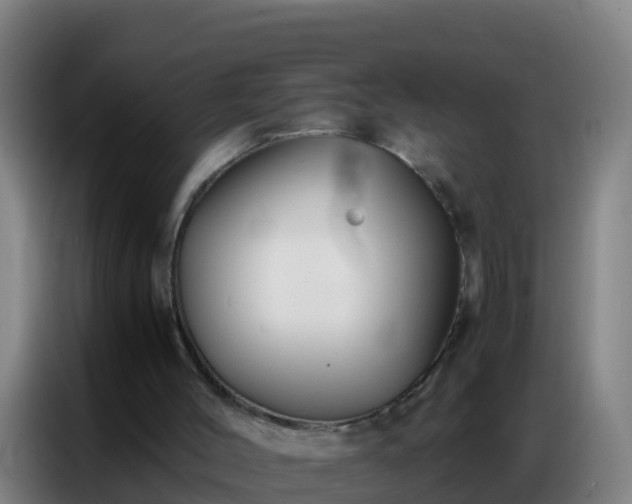 X0000086790004200704201853