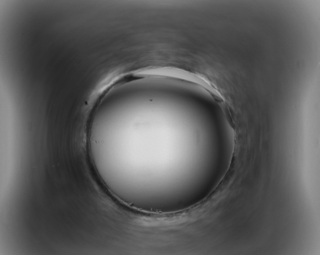 X0000086790005200704201853