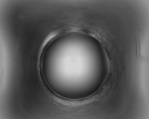 X0000086790006200704201853