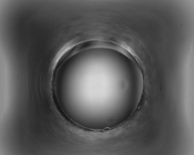 X0000086790007200704201853