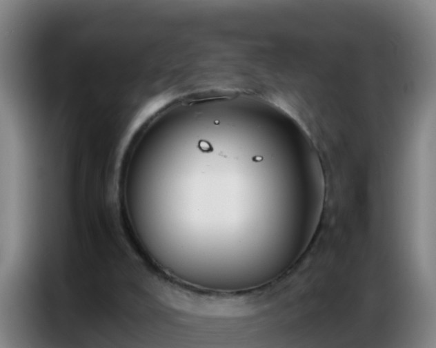 X0000086790008200704201853