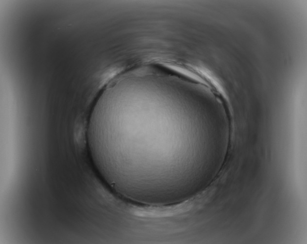 X0000086790009200704201853