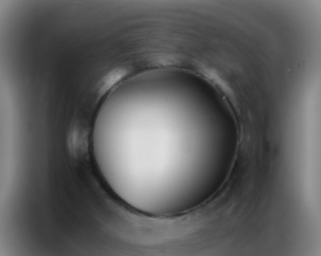 X0000086790010200704201853