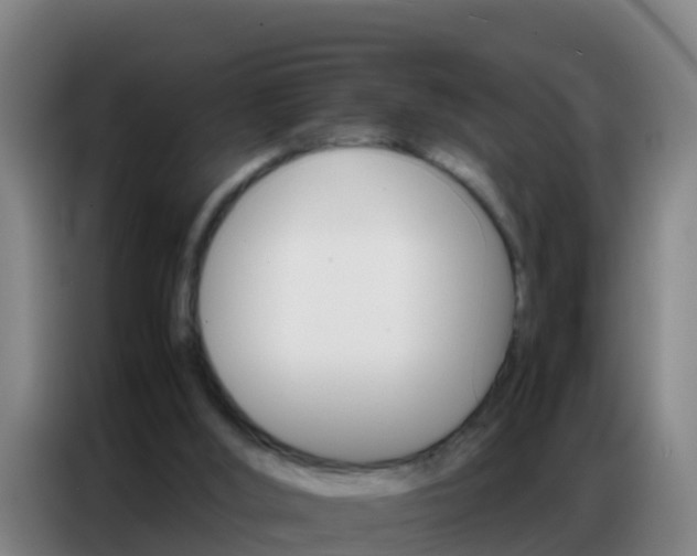 X0000086790012200704201853