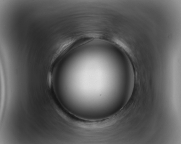 X0000086790013200704201853
