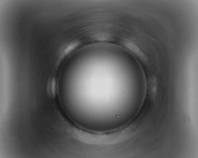 X0000086790014200704201853