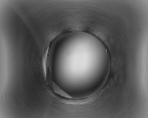 X0000086790017200704201852