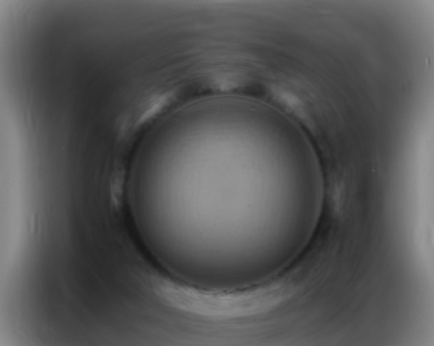 X0000086790018200704201852