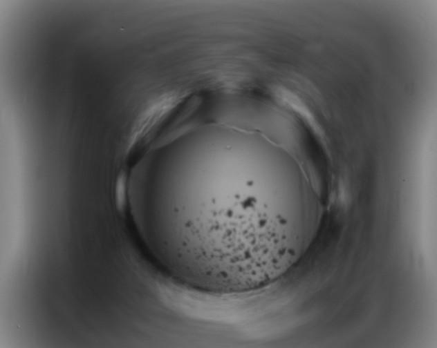 X0000086790019200704201852
