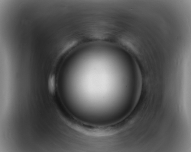 X0000086790020200704201852