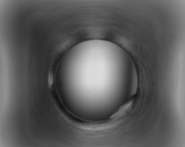 X0000086790021200704201852