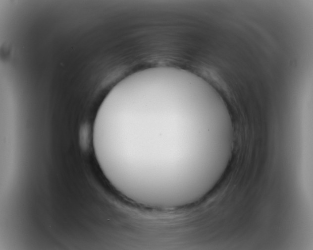 X0000086790024200704201852