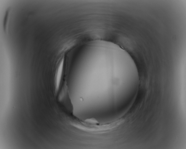 X0000086790027200704201852