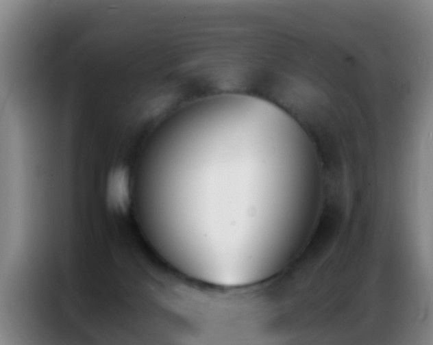 X0000086790028200704201852