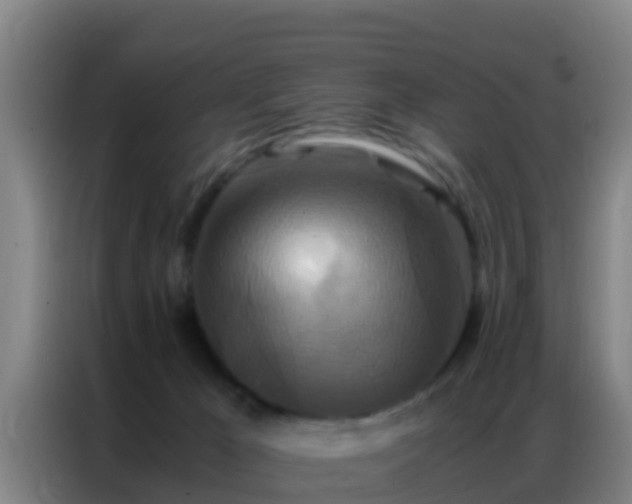 X0000086790029200704201852