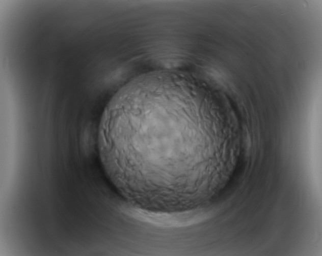 X0000086790030200704201852