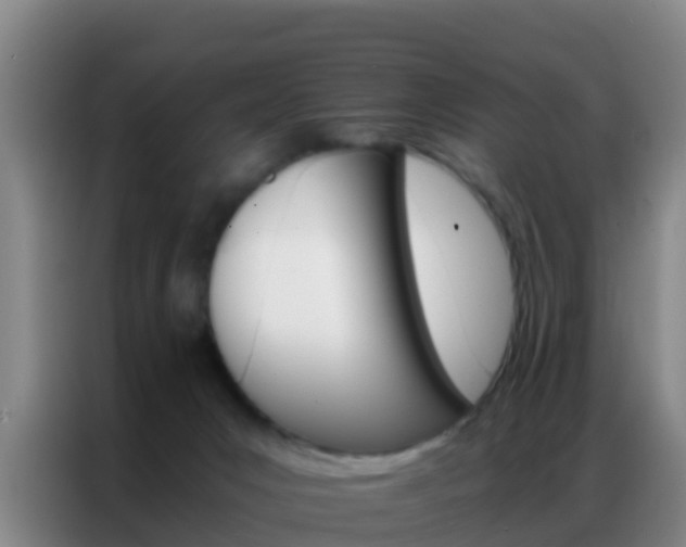 X0000086790031200704201852