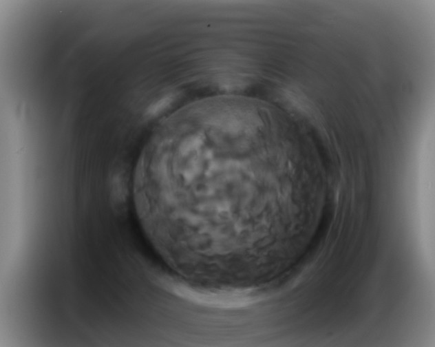 X0000086790032200704201852