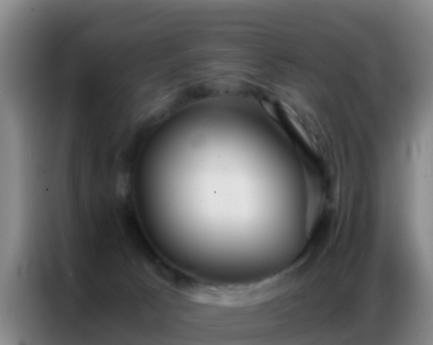 X0000086790033200704201852