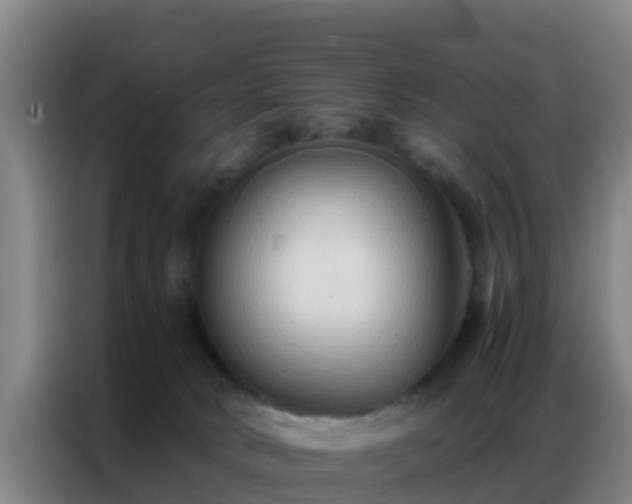 X0000086790034200704201852