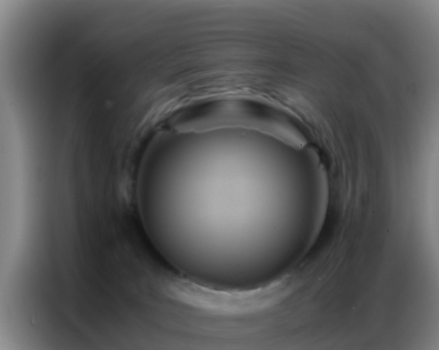 X0000086790035200704201852
