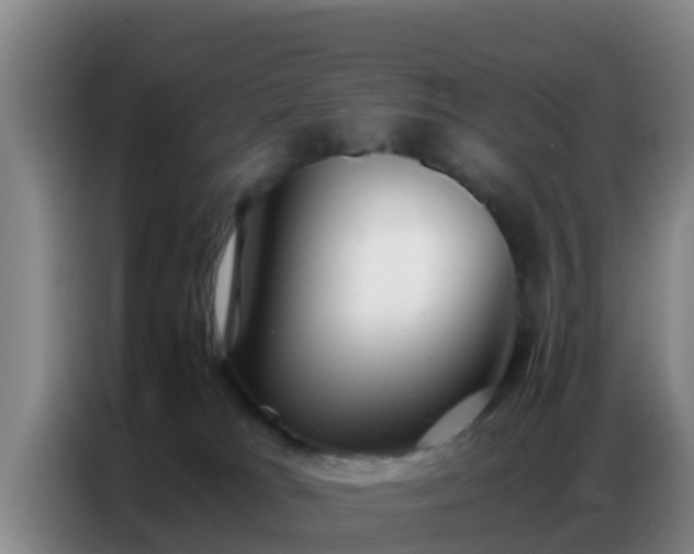 X0000086790037200704201852