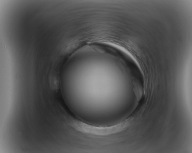 X0000086790039200704201852