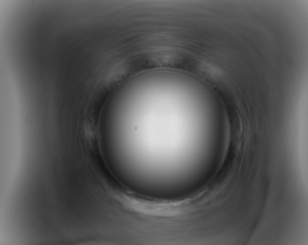 X0000086790040200704201852