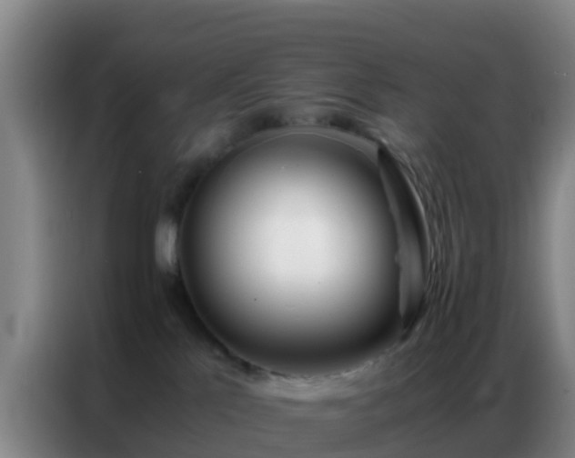 X0000086790041200704201852