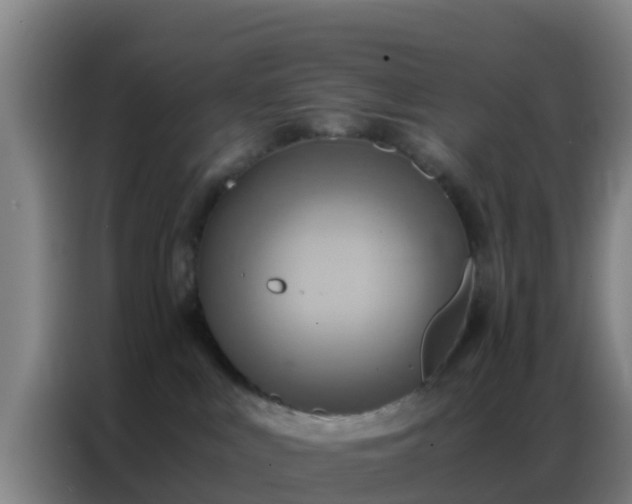 X0000086790043200704201852