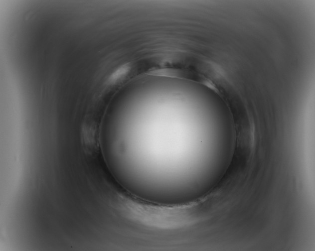 X0000086790044200704201852