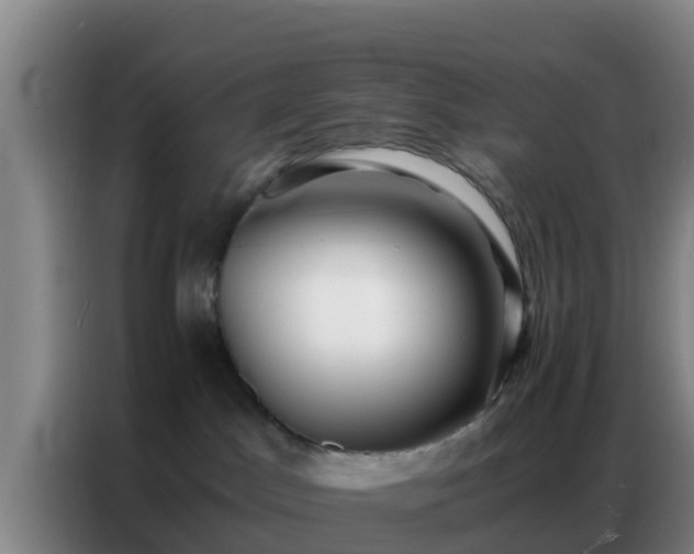 X0000086790045200704201852