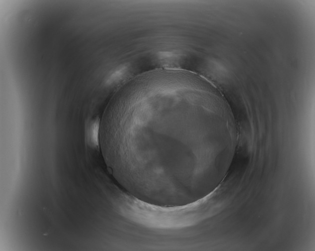X0000086790047200704201852