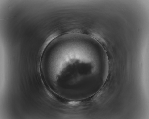 X0000086790051200704201852