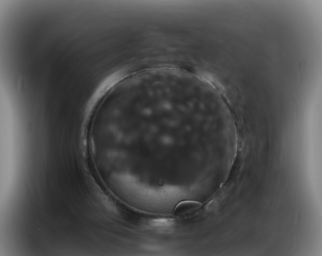 X0000086790053200704201852