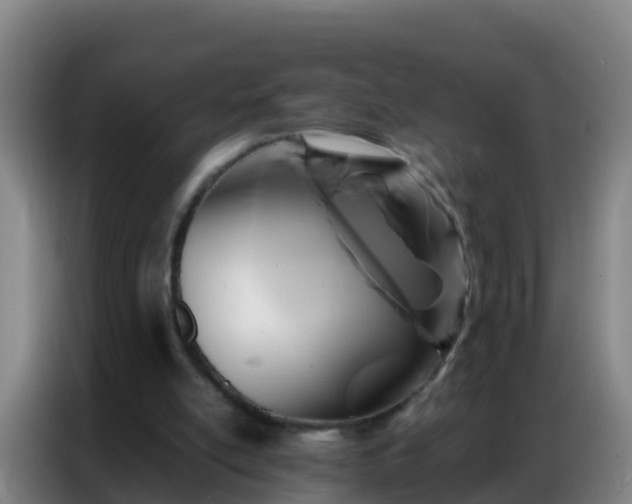 X0000086790054200704201852
